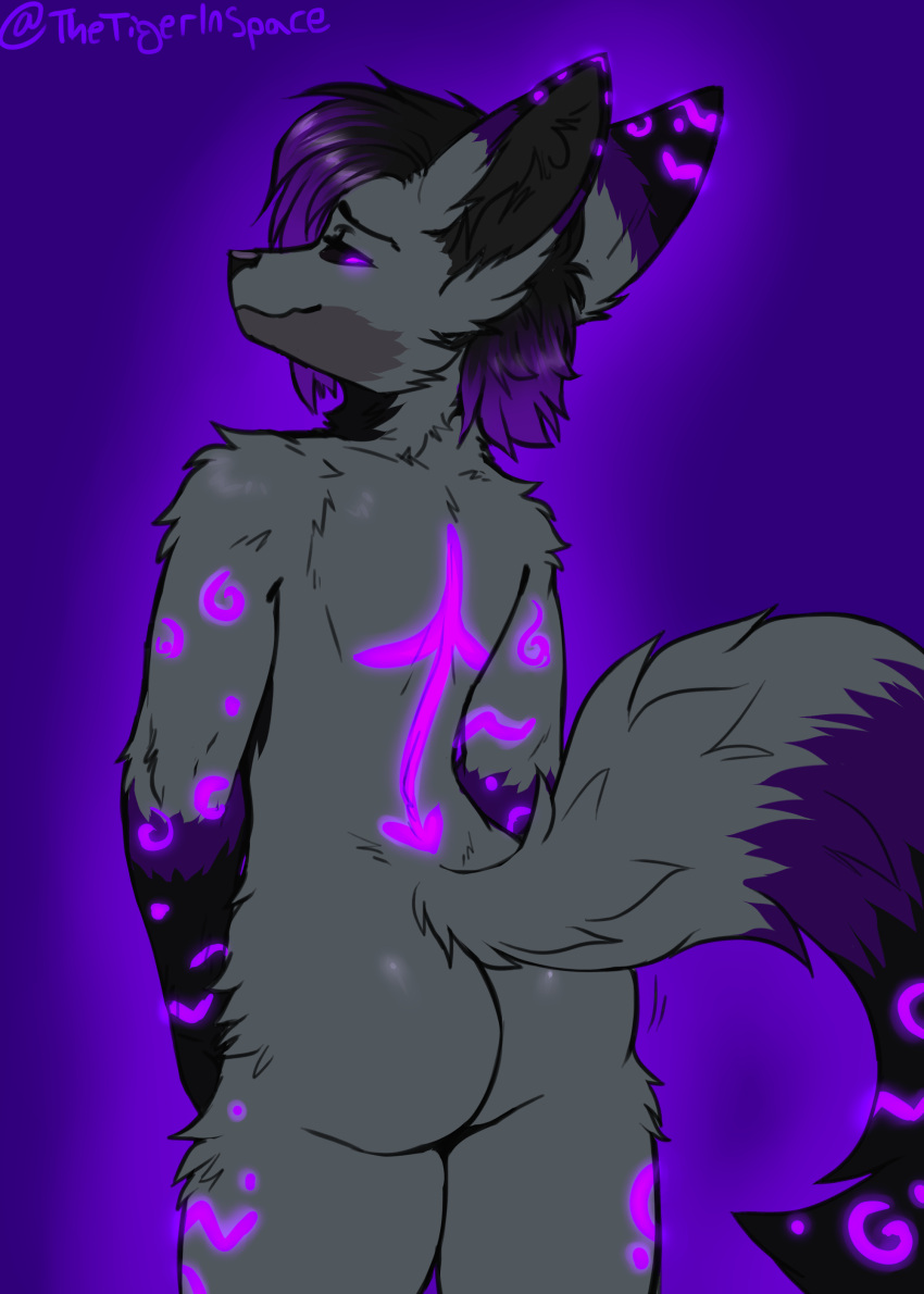 absurd_res anthro ass bioluminescence canid canine fennec_fox fox glowing hi_res male mammal seductive solo tigerinspace true_fox veil_(unaveilable)