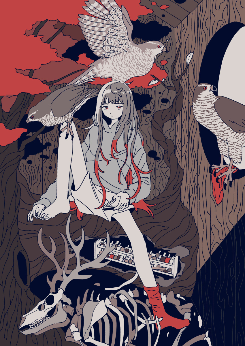 absurdres animal_skeleton animal_skull antlers bird bone commentary deer deer_antlers deer_skull eagle expressionless female flat_color hawk highres holding hood hoodie horns in_tree knee_up limited_palette long_hair looking_at_viewer mitsuki_sanagi nail_clippers nail_polish original red_background red_eyes red_legwear single_sock sitting sitting_in_tree socks tree