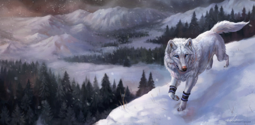 2022 ambiguous_gender arm_warmers armwear canid canine canis clothing digital_media_(artwork) digital_painting_(artwork) feral forest fur landscape mammal mountain outside plant realistic running snow solo tree white_body white_fur wolf wolnir