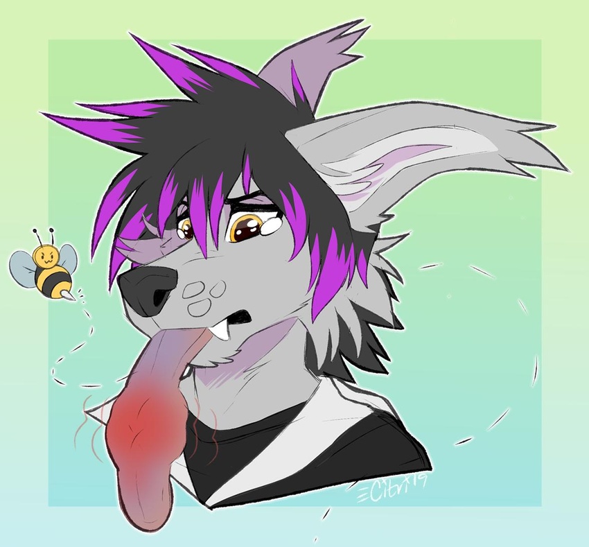 2019 arthropod bee bee_sting black_hair black_nose bodily_fluids canid canine citrinelle digital_media_(artwork) fur grey_body grey_fur hair hymenopteran insects lance_(radiantblaze) long_tongue mammal pain simple_background tears tongue tongue_out