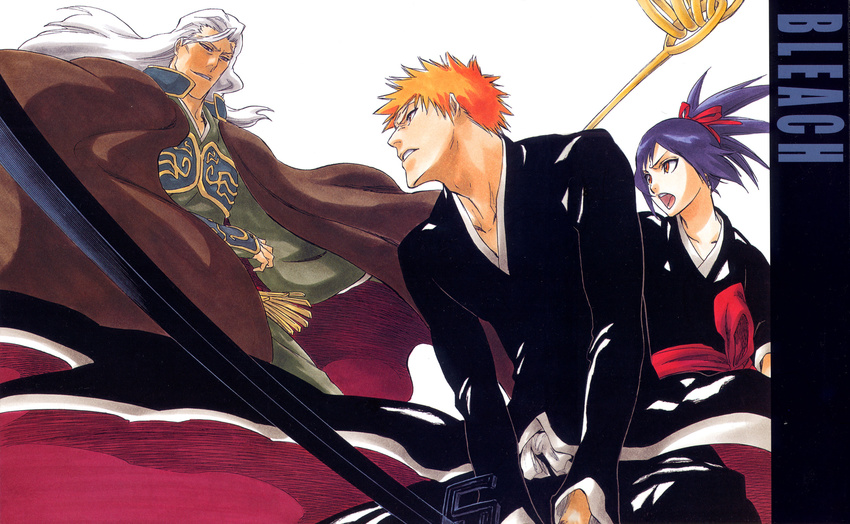 bleach kurosaki_ichigo senna tagme