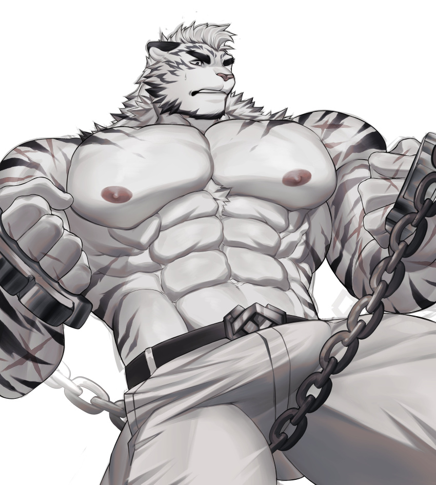 ! 1boy abs absurdres adkt animal_ears arknights bara belt black_belt brass_knuckles bulge chains clenched_hands english_commentary furry furry_male highres holding holding_weapon male_focus mountain_(arknights) muscular muscular_male navel nipples pants pectorals scar scar_on_arm scar_on_hand scar_on_shoulder sweatdrop tail tiger_boy tiger_ears tiger_stripes topless_male weapon white_background white_pants