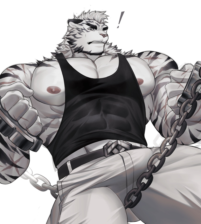 ! 1boy abs absurdres adkt animal_ears arknights bara belt black_belt black_shirt brass_knuckles bulge chains clenched_hands english_commentary furry furry_male highres holding holding_weapon male_focus mountain_(arknights) muscular muscular_male nipples pants pectorals scar scar_on_arm scar_on_hand scar_on_shoulder shirt sweatdrop tail tiger_boy tiger_ears tiger_stripes weapon white_background white_pants