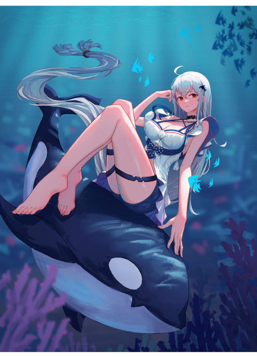 absurdly_long_hair absurdres ahoge albino animal arknights ass bare_arms bare_shoulders barefoot bird black_shorts breasts cleavage closed_mouth coral dhsl feet female fish full_body highres knees_up large_breasts light_rays long_hair looking_at_viewer low-tied_long_hair off_shoulder orca orca_hair_ornament red_eyes shirt short_shorts shorts sitting skadi_(arknights) skadi_(waverider)_(arknights) sleeveless sleeveless_shirt smile solo thigh_strap underwater very_long_hair white_hair white_shirt