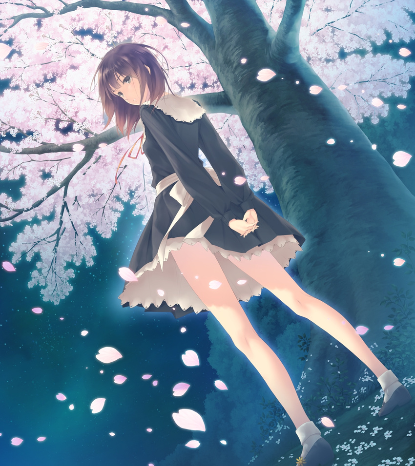 arms_behind_back bare_legs black_dress black_eyes brown_hair cherry_blossoms dress dutch_angle female flower flowers_(innocent_grey) from_behind game_cg highres interlocked_fingers kousaka_mayuri long_legs looking_back night official_art orange_ribbon parted_lips petals ribbon scan school_uniform short_hair skirt socks solo standing sugina_miki tree white_ribbon white_socks wind wind_lift