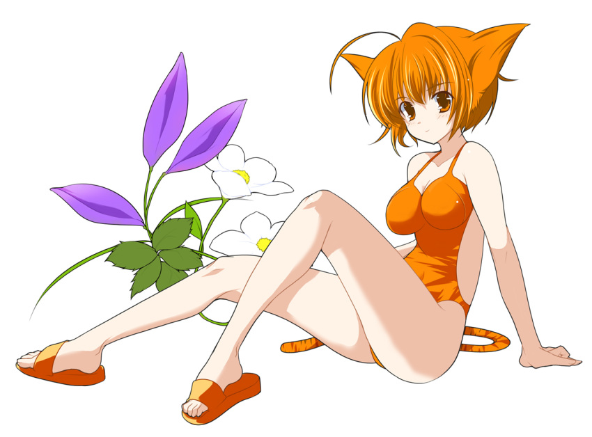 ahoge animal_ears arm_support breasts casual_one-piece_swimsuit cat_ears female floral_background flower full_body large_breasts one-piece_swimsuit orange_eyes orange_hair orange_one-piece_swimsuit orange_tail original sandals shijou_sadafumi short_hair simple_background sitting solo swimsuit tail white_background