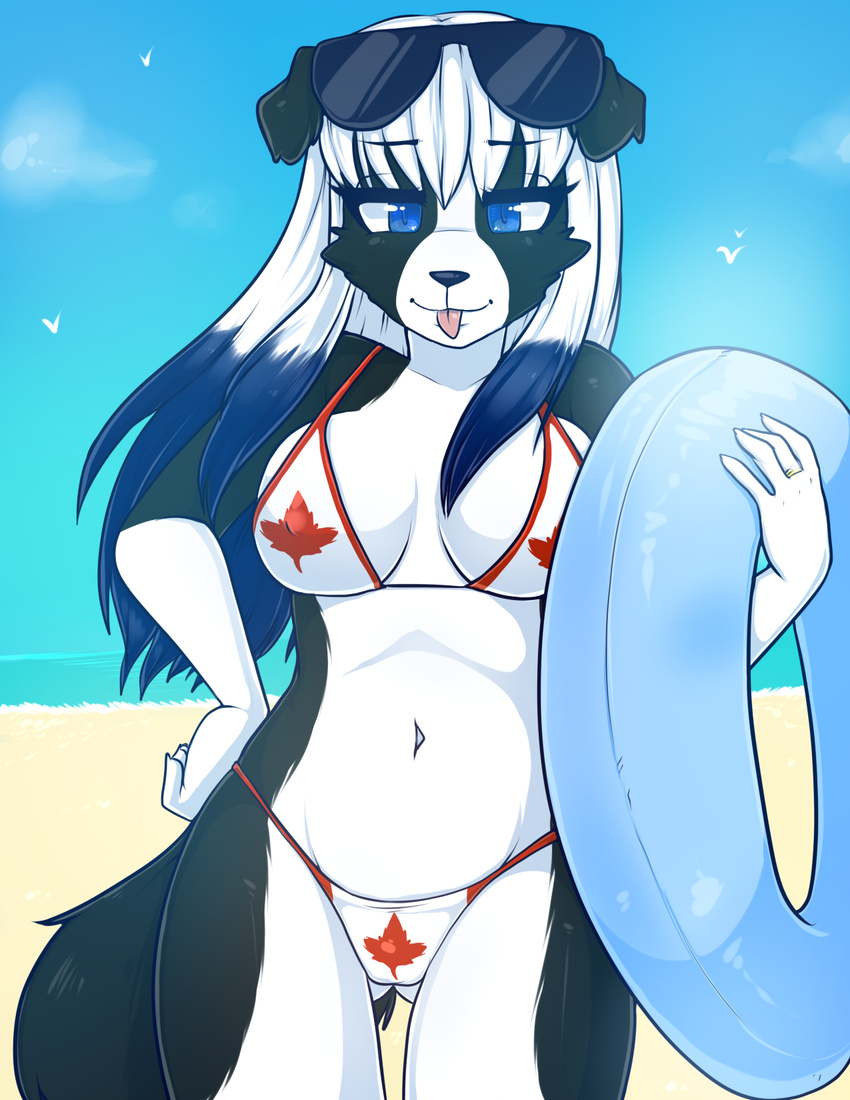 2014 anthro beach bikini black_body black_fur black_nose blue_eyes blue_hair breasts canada canid canine canis clothed clothing detailed_background domestic_dog eyewear female fur hair half-closed_eyes hi_res inflatable janice_carter long_hair looking_at_viewer mammal multicolored_hair narrowed_eyes navel outside pool_toy ring sand seaside sky solo standing sunglasses swimwear tongue tongue_out two_tone_hair white_body white_fur white_hair zyira