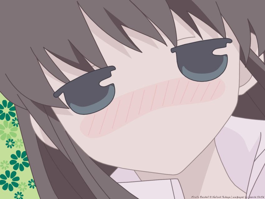 close fruits_basket honda_tohru tagme