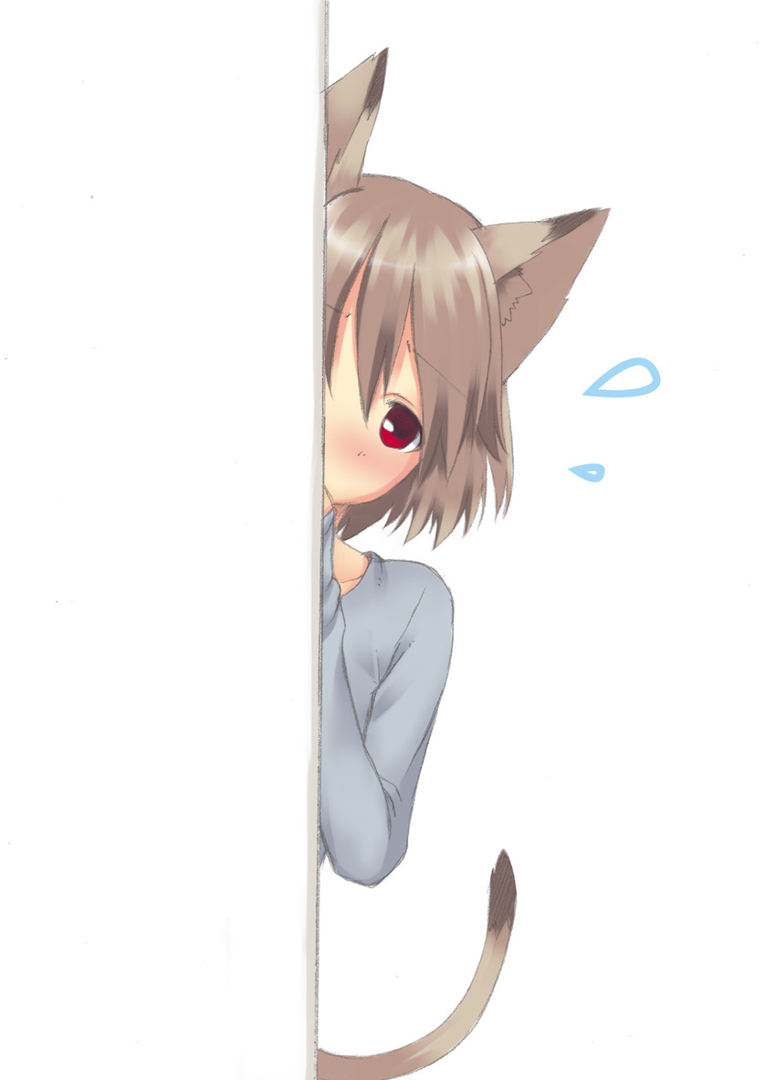 animal_ears blush brown_hair cat_ears cat_tail commentary_request copyright_request female flying_sweatdrops highres looking_at_viewer majima_yuki peeking_out red_eyes short_hair simple_background solo tail white_background