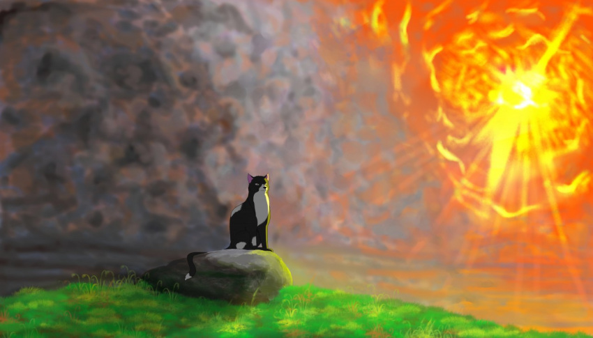 cloud colored digital_media_(artwork) digital_painting_(artwork) domestic_cat felid feline felis feral fur grass male mammal paws plant rock shaded sitting sky solo sun tallstar_(warriors) thathornycat tuxedo_cat warriors_(book_series)