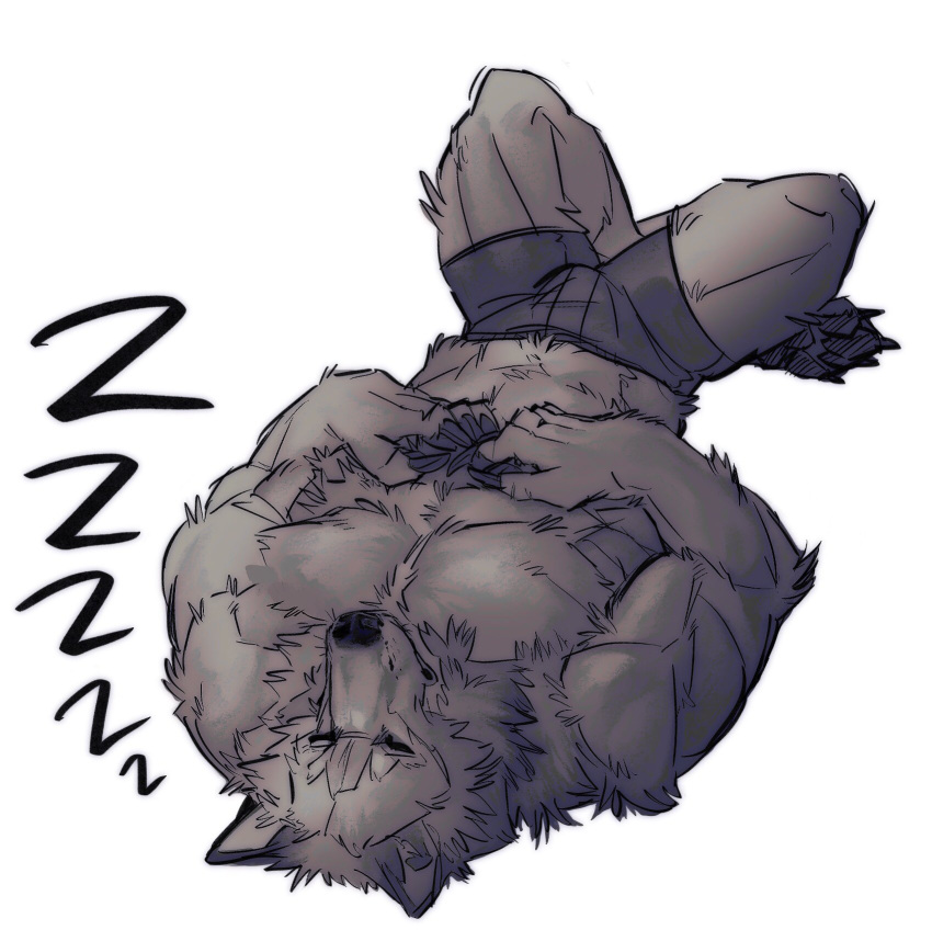 anthro black_nose canid canine canis claws clothing fur grey_body grey_fur hi_res male mammal muscular neck_tuft nmvsolidus simple_background sleeping solo tuft underwear wolf