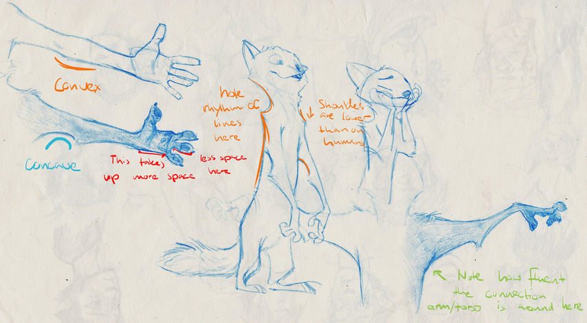 2016 absurd_res anatomy anatomy_reference anthro canid canine disney english_text fox hi_res how-to male mammal monoflax nick_wilde nude simple_background solo text traditional_media_(artwork) white_background zootopia