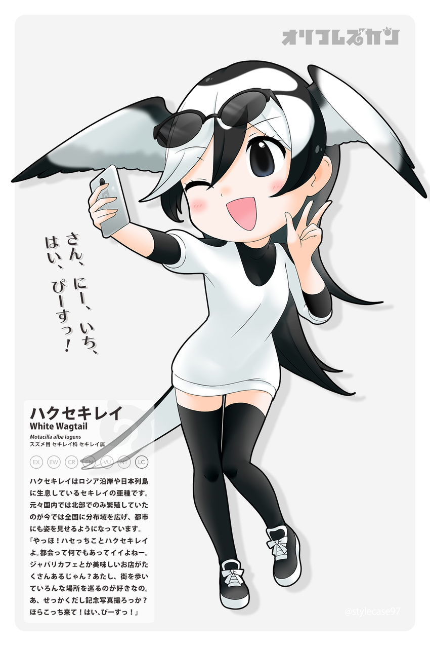 ! black_hair blush cellphone character_name commentary_request eyewear_on_head feathered_wings female full_body highres iucn_red_list japari_symbol kemono_friends long_hair md5_mismatch multicolored_hair official_style one_eye_closed open_mouth original partially_translated phone resolution_mismatch scientific_name selfie smartphone solo stylecase thighhighs translation_request two-tone_hair white_hair white_wagtail_(kemono_friends)_(stylecase) wings yoshizaki_mine_(style)