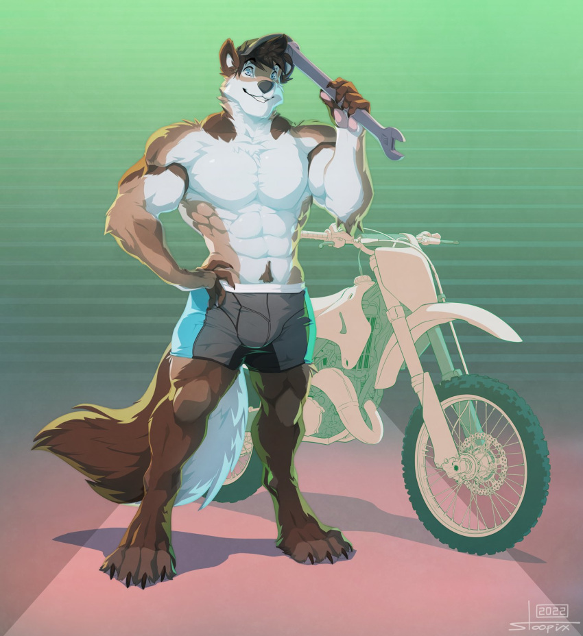 abs anthro bottomwear canid canine canis clothed clothing domestic_dog gradient_background hat headgear headwear hi_res husky looking_at_viewer male mammal motorcycle muscular nordic_sled_dog pattern_background paul_(majin764) shorts simple_background smile solo spitz stoopix teeth_showing tools topless vehicle wrench