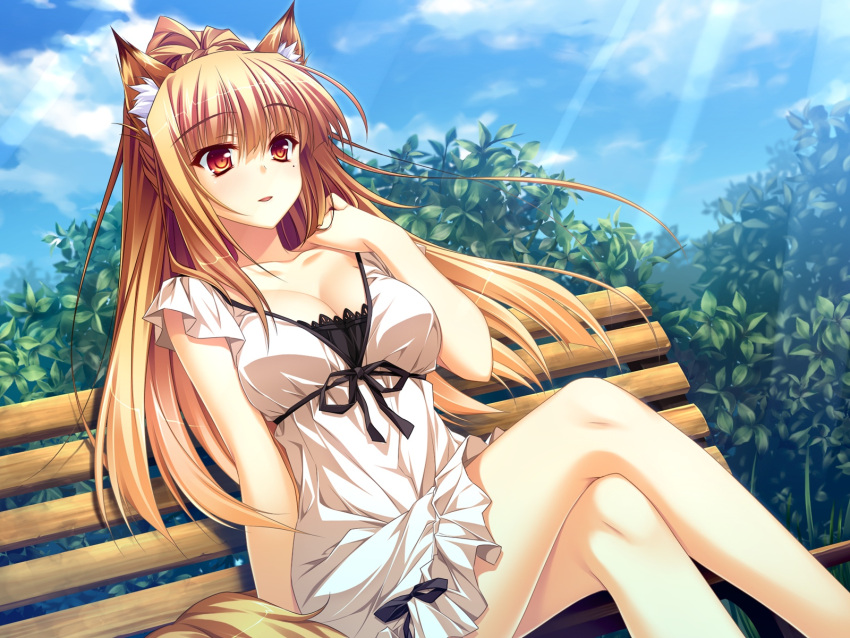 animal_ears arm_support bench blonde_hair blush breasts cleavage dress female fox_ears fox_tail foxgirl game_cg hand_on_shoulder highres large_breasts legs_crossed long_hair miyama_kon mole otomimi_infinity outdoors red_eyes ribbon sitting sky solo tail