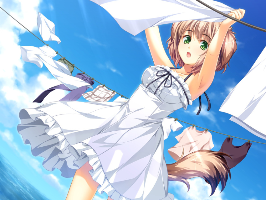 :o animal_ears breasts brown_hair clothes dog_ears doggirl dress female frills game_cg green_eyes highres koya_chachako laundry looking_at_viewer ocean otomimi_infinity outdoors ribbon short_hair sky solo tail water