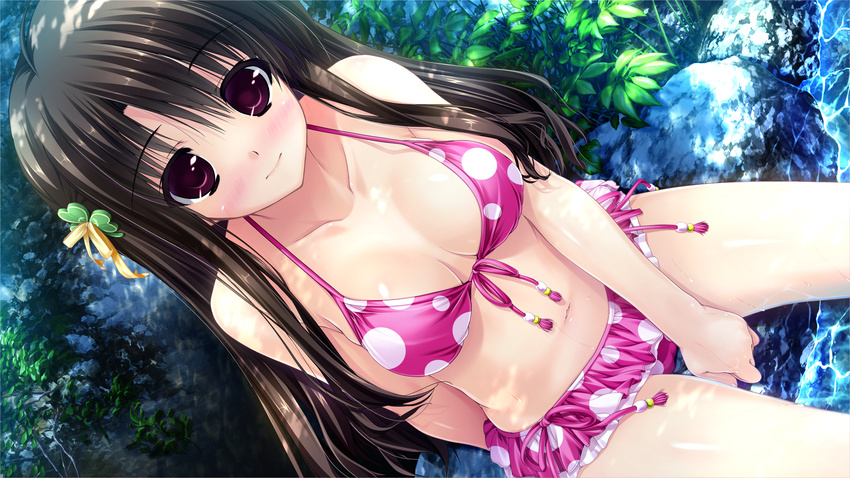 3: between_legs bikini bikini_skirt black_hair blush breasts cleavage clover clover_hair_ornament collarbone dutch_angle female four-leaf_clover front-tie_top game_cg hair_ornament hand_between_legs highres kugayama_konoka long_hair medium_breasts navel pink_bikini polka_dot polka_dot_bikini prism_recollection! purple_eyes rock shintarou shiny_skin side-tie_bikini_bottom solo strap_gap swimsuit wet