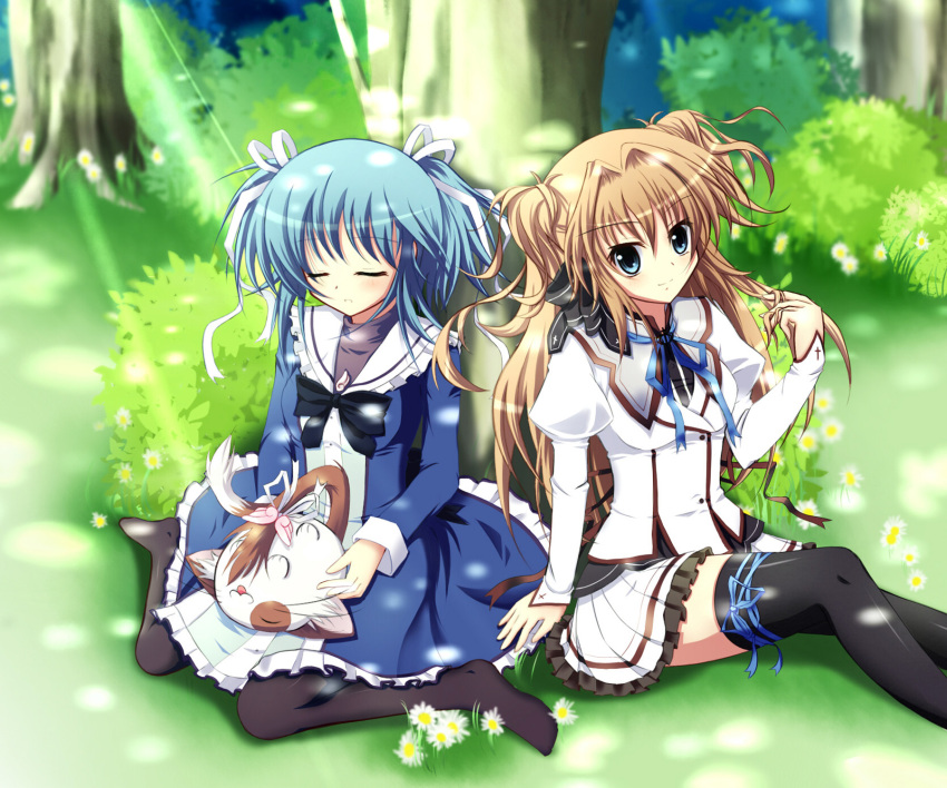 2girls artist_request black_legwear blue_eyes blue_hair bow brown_hair closed_eyes feline flower hair_intakes hair_ribbon highres long_hair mascot mashiroiro_symphony multiple_girls no_shoes outdoors pan-nya pantyhose photoshop_(medium) pleated_skirt ribbon school_uniform seiza sena_airi short_hair short_twintails sitting skirt smile thighhighs twintails twirling_hair uryuu_sakuno wariza zettai_ryouiki