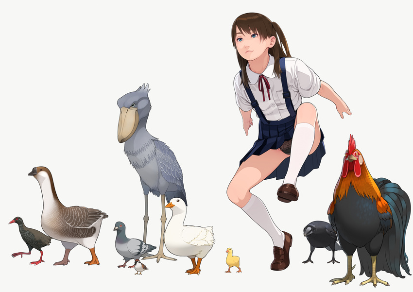 animal bad_id bird black_panties blue_eyes brown_hair chicken chinese_zodiac commentary copyright_request crow duck duckling eurasian_tree_sparrow female full_body go_robots goose kneehighs light_smile loafers long_hair male_chicken odd_one_out okinawa_rail panties pantyshot pet_play pigeon school_uniform shoebill shoes side_ponytail simple_background skirt socks solo sparrow standing suspender_skirt suspenders underwear upskirt white_background year_of_the_rooster