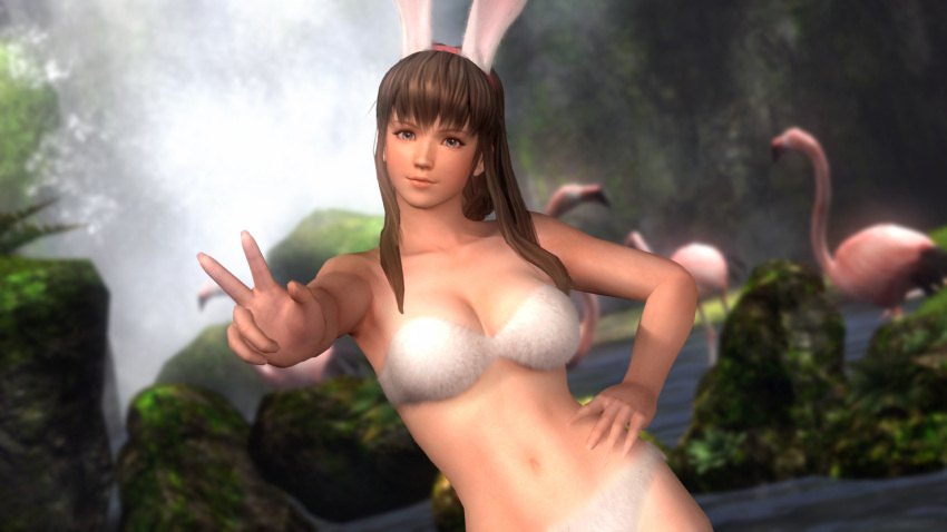 3d animal_ears bikini bird blue_eyes bunny_ears dead_or_alive dead_or_alive_5 female flamingo fur headband highres hitomi hitomi_(doa) nature official_art pose smile swimsuit tecmo v water waterfall