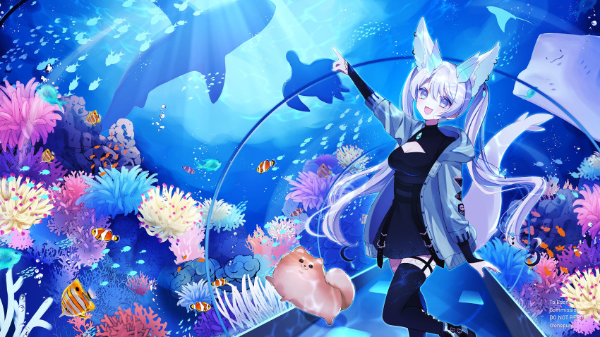 animal_ears aquarium blue_eyes boots dress ear_piercing edenia_euclase eneru_(enepuni) female fish fox_ears fox_girl fox_tail highres indie_virtual_youtuber jacket long_sleeves looking_at_viewer pale_skin piercing pointing solo tail thighhighs twintails virtual_youtuber white_hair