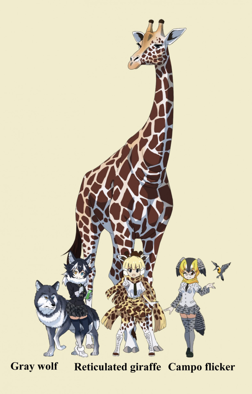 3girls ;) animal_ears animal_print beige_background bird bird_tail black_eyes black_footwear black_hair black_jacket black_legwear black_necktie black_skirt blazer blonde_hair blue_eyes boots campo_flicker campo_flicker_(kemono_friends) closed_mouth commentary_request creature_and_personification dress_shirt english_text fur_collar giraffe giraffe_ears giraffe_horns giraffe_print glasses grey_jacket grey_legwear grey_skirt grey_wolf_(kemono_friends) head_wings heterochromia high-waist_skirt highres horns jacket kemono_friends layered_sleeves long_hair long_sleeves looking_at_viewer medium_hair miniskirt multicolored_hair multiple_girls name_connection necktie one_eye_closed open_mouth pantyhose pince-nez pleated_skirt pointing pointing_at_viewer print_pantyhose print_skirt print_thighhighs reticulated_giraffe_(kemono_friends) shirt shoes short_hair short_over_long_sleeves short_sleeves simple_background skirt smile standing tail thighhighs two-tone_hair white_footwear white_shirt wings wolf yamaguchi_yoshimi yellow_eyes yellow_legwear yellow_skirt