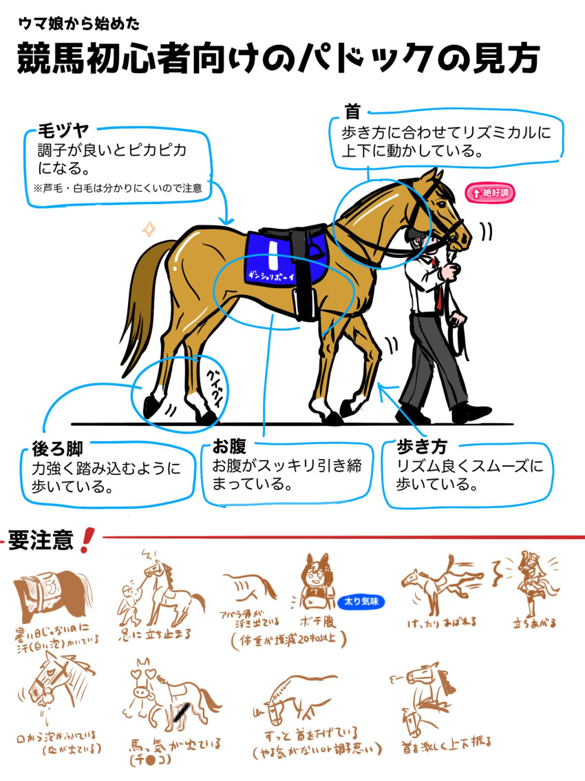 1boy 2girls animal_ears animal_focus animal_penis bar_censor black_footwear bridle censored commentary gameplay_mechanics ginshari_boy gold_ship_(umamusume) golshi's_first_place_pose grey_pants heart heart-shaped_pupils helmet highres horse horse_ears horse_girl horse_penis information_sheet japan_world_cup long_sleeves mosaic_censoring multiple_girls necktie nishinishi_(nagareboshi) original pants partially_translated penis red_necktie shirt special_week_(umamusume) symbol-shaped_pupils tongue tongue_out translation_request umamusume walking white_shirt x_navel