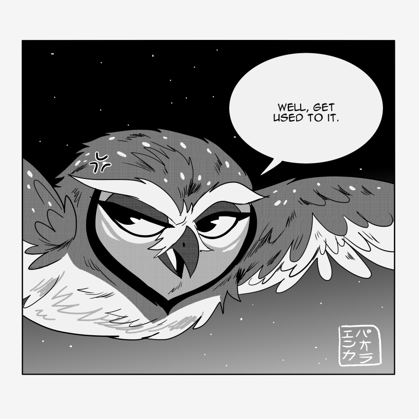 1:1 absurd_res annoyed avian beak bird border dialogue elf_owl feathers female feral gradient_background grey_body grey_feathers guardians_of_ga'hoole gylfie hi_res kabuki-aku monochrome night owl simple_background sky solo star starry_sky true_owl white_body white_border white_feathers