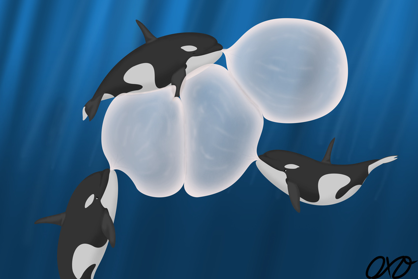 absurd_res blowing_bubble_gum bubble bubble_gum bubble_support candy cetacean dessert dolphin feral food group gum hi_res inflating mammal marine oceanic_dolphin on_bubble orca orcaxdragon simple_background toothed_whale what