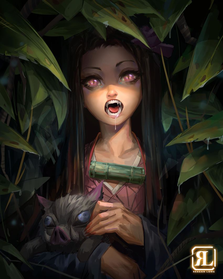 absurdres bamboo bit_gag black_hair black_jacket boar drooling fangs female forehead gag gag_around_neck haori hashibira_inosuke headpat highres jacket japanese_clothes kamado_nezuko kimetsu_no_yaiba kimono lips long_hair nose photoshop_(medium) piglet pink_eyes pink_kimono reagan_long saliva slit_pupils solo_focus teeth unworn_gag