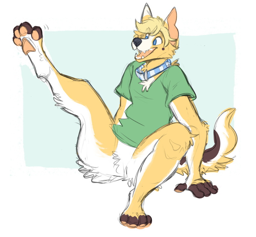 2016 4_toes 5_fingers anthro blonde_hair blue_collar blue_eyes blue_pupils bottomless brown_body brown_fur canid canine canis clothed clothing collar corgwn digital_drawing_(artwork) digital_media_(artwork) domestic_dog featureless_crotch feet fingers fur german_shepherd green_clothing green_shirt green_topwear hair herding_dog hindpaw jayboppity male mammal markings multicolored_body multicolored_fur open_mouth pastoral_dog pawpads paws pupils raised_leg shirt simple_background smile solo teeth toes topwear white_body white_fur yellow_body yellow_fur