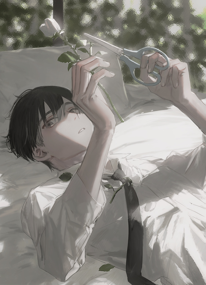 1boy absurdres black_hair cutting flower highres hirota_tsuu male_focus necktie on_bed original parted_lips petals pillow rose scissors solo usuzumi_kei white_flower white_rose