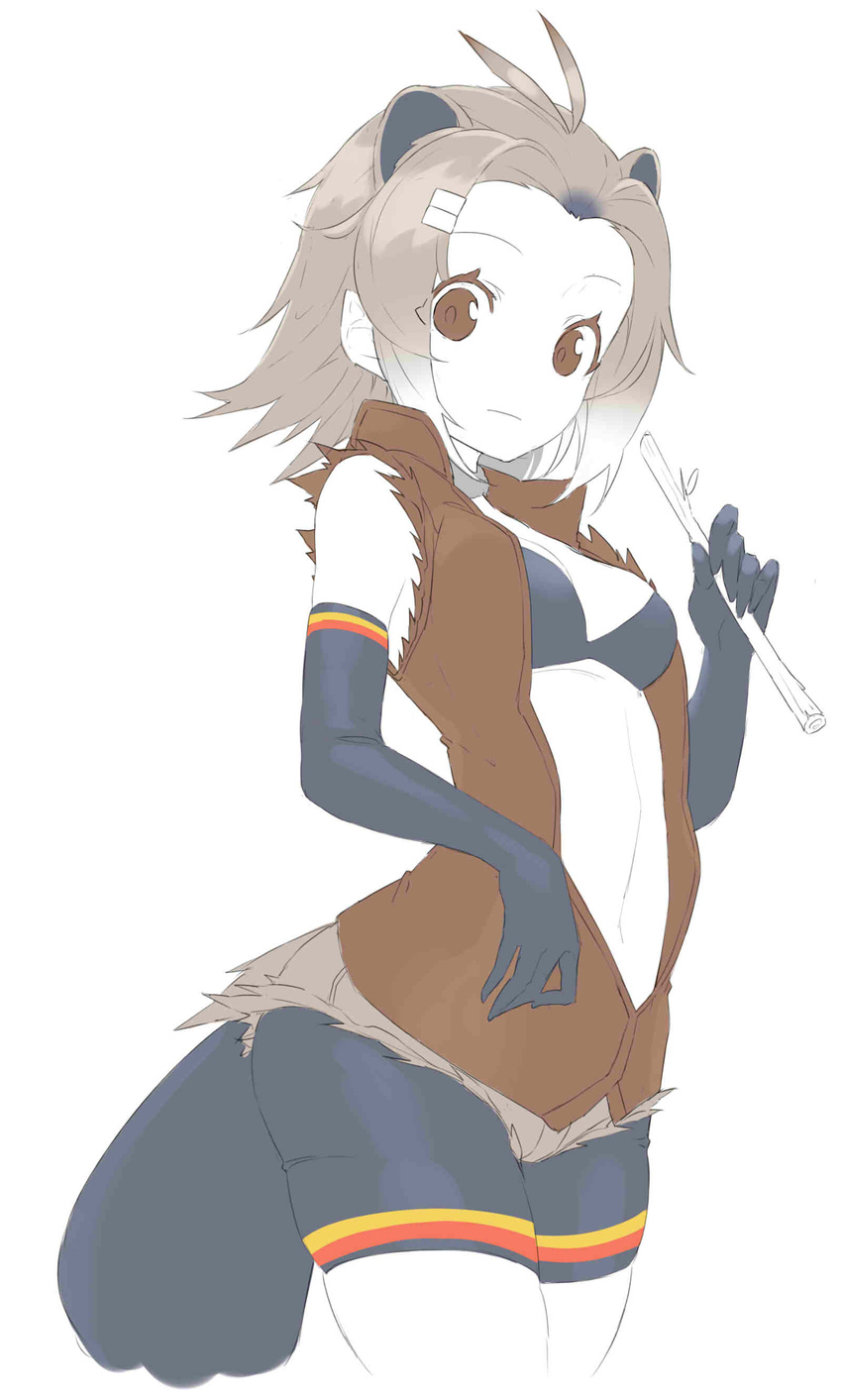 absurdres american_beaver_(kemono_friends) animal_ears antenna_hair bad_id bad_pixiv_id bare_shoulders beaver_ears beaver_tail bike_shorts bikini bikini_top_only breasts brown_eyes cleavage elbow_gloves female gloves gradient grey_hair hair_ornament hairclip highres jacket kemono_friends looking_at_viewer navel neko7 open_clothes open_jacket photoshop_(medium) shorts simple_background sleeveless solo swimsuit tail twig white_background