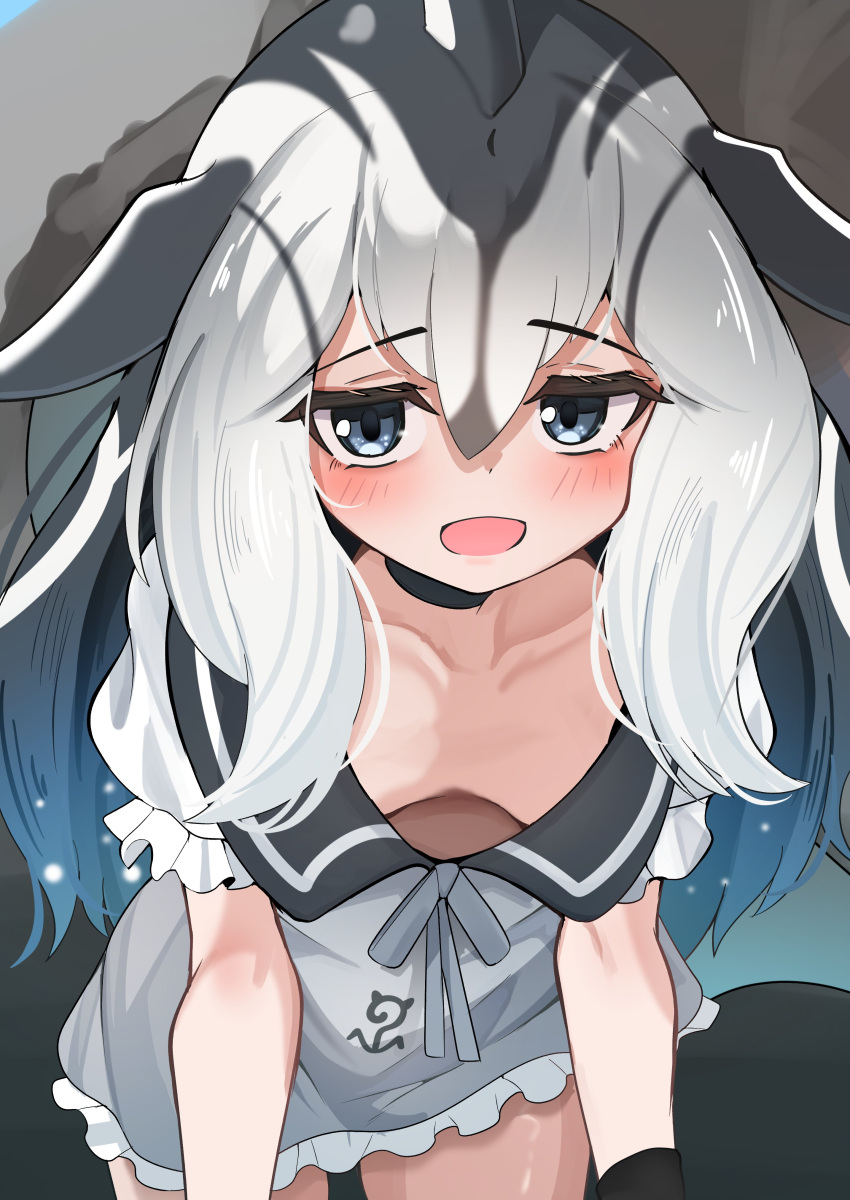 absurdres black_choker black_hair blowhole blue_dress blue_eyes blush bow bowtie cetacean_tail choker collarbone cowboy_shot darus5 dolphin_girl dorsal_fin dress female fins fish_tail frilled_dress frills grey_bow grey_bowtie hair_between_eyes head_fins highres japari_symbol kemono_friends long_hair looking_at_viewer multicolored_hair open_mouth pacific_white-sided_dolphin_(kemono_friends) sailor_collar sailor_dress sidelocks smile solo tail two-tone_hair white_hair