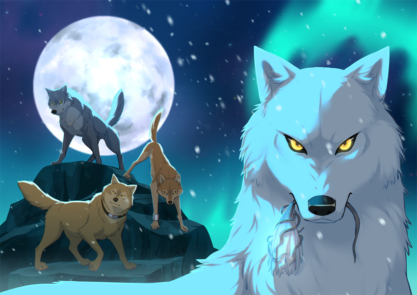 ambiguous_feral ambiguous_gender aurora_(phenomenon) azzai canid canine canis collar countershading feral flower full_moon fur grey_body grey_fur group hige_(wolf's_rain) holding_flower holding_object kiba_(wolf's_rain) looking_at_viewer male_(lore) mammal moon mouth_hold night outside plant quadruped rock shaded sky snow snowing standing tail tan_body tan_fur toboe_(wolf's_rain) tsume_(wolf's_rain) white_body white_fur wolf wolf's_rain yellow_eyes