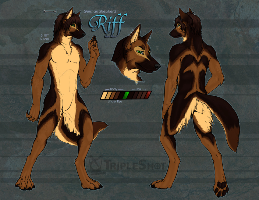 anthro barbell_piercing canid canine canis domestic_dog ear_piercing english_text featureless_crotch german_shepherd green_eyes helix_piercing herding_dog male mammal model_sheet pastoral_dog piercing riff_(riff34) solo text triple-shot