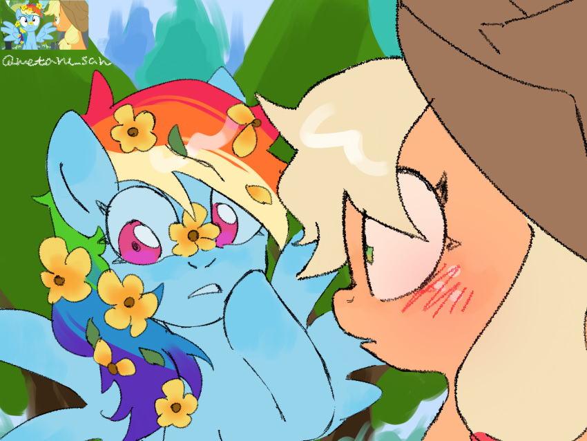 absurd_res applejack_(mlp) blush clothing cowboy_hat duo equid equine evergreen_tree female female/female flower friendship_is_magic green_eyes hasbro hat headgear headwear hi_res horse mammal metaruscarlet my_little_pony open_mouth pine_tree plant pony rainbow_dash_(mlp) screencap_redraw tree yellow_flower