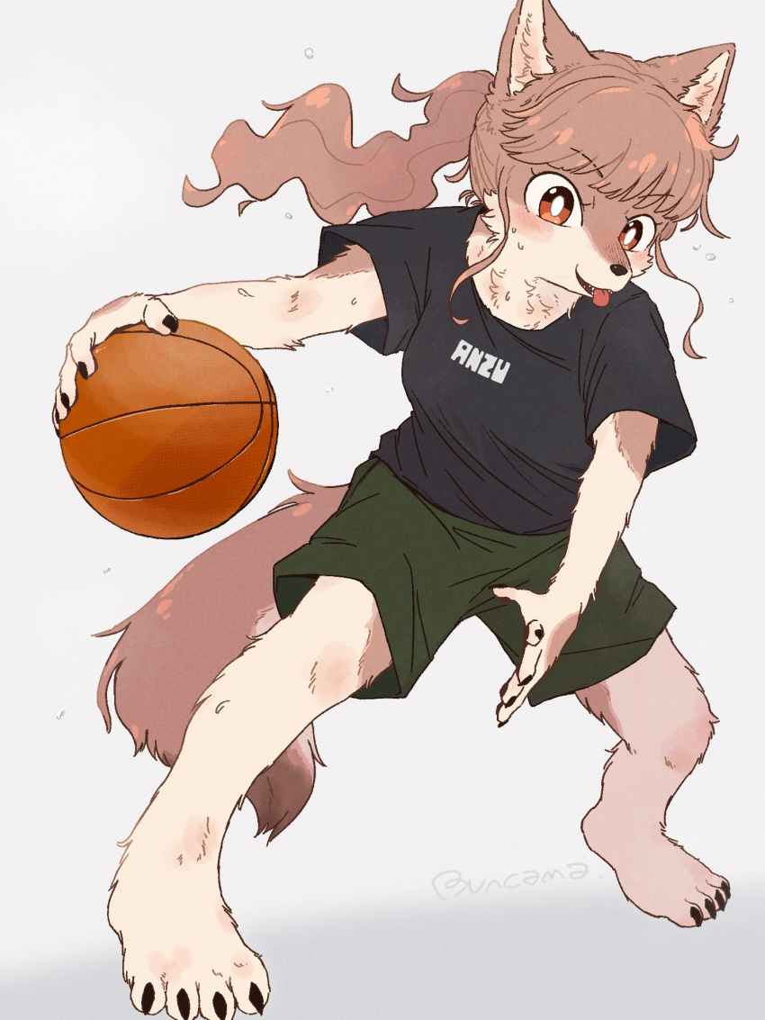 anthro anzu_(buncama) athletic_wear ball basketball basketball_(ball) black_nose bottomwear brown_body brown_fur brown_hair buncama canid canine character_name clothing concentration dribbling female fur gym_bottomwear gym_shorts hair hi_res kemono long_hair mammal ponytail red_eyes shirt shorts solo sport sportswear t-shirt tongue tongue_out topwear