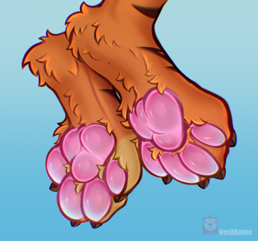 anthro blue_background brown_claws claws countershade_feet countershading feet felid feline finger_claws fluffy_paws foot_fetish foot_shot fur hi_res koshkame male mammal nefitail orange_body orange_fur pantherine pawpads paws pink_claws pink_pawpads pink_paws raised_paw simple_background soles solo stripes tiger toes