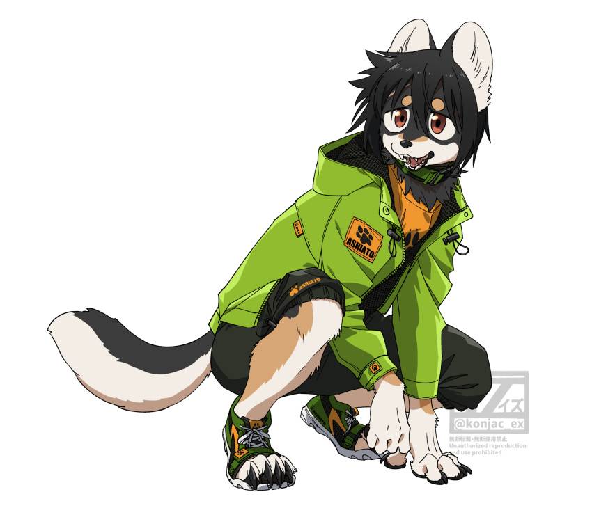 anthro black_bottomwear black_clothing black_hair black_shorts bottomwear brown_eyes canid canine canis claws clothing collar crouching domestic_dog fingers footwear fur furgonomic_footwear furgonomics green_clothing green_collar green_jacket green_topwear hair hi_res jacket konjac_ex male mammal multicolored_body multicolored_fur open_mouth open_smile shorts smile solo teeth topwear