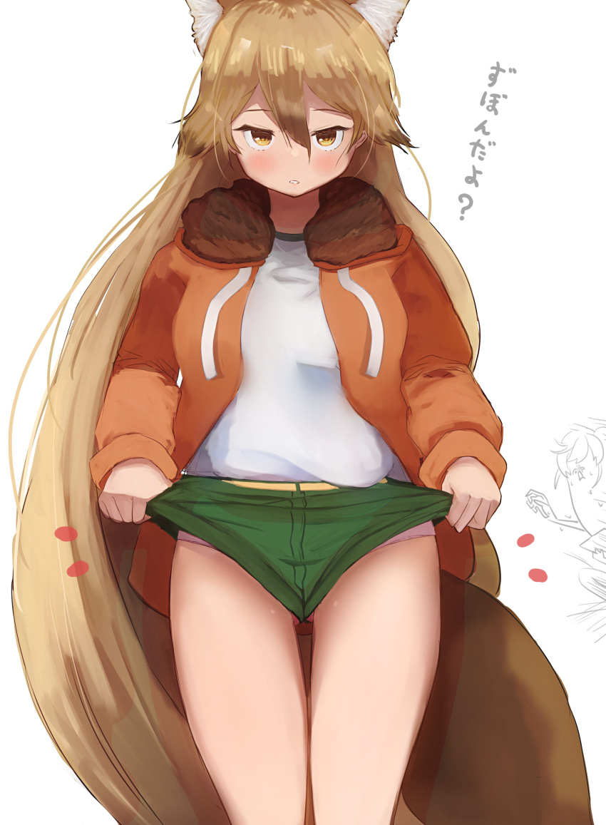 absurdres animal_ears blonde_hair blush brown_hair commentary_request extra_ears ezo_red_fox_(kemono_friends) female fox_ears fox_girl fox_tail fur_collar gakukuru gym_shirt hair_between_eyes highres jacket kemono_friends long_hair long_sleeves looking_at_viewer multicolored_hair official_alternate_costume panties parted_lips pink_panties shirt short_shorts shorts simple_background solo_focus tail translation_request underwear very_long_hair white_background yellow_eyes