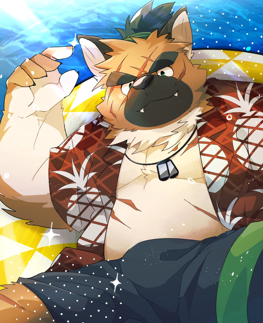 absurd_res aloha_shirt anthro belly boar_stag144 bottomwear brown_body brown_fur bulge canid canine canis clothing domestic_dog eyebrows fur hi_res lifewonders male mammal musclegut muscular pattern_clothing pattern_shirt pattern_topwear pecs scar shirt shorts solo swim_ring swimwear thick_eyebrows tokyo_afterschool_summoners topwear water yasuyori_(tas)