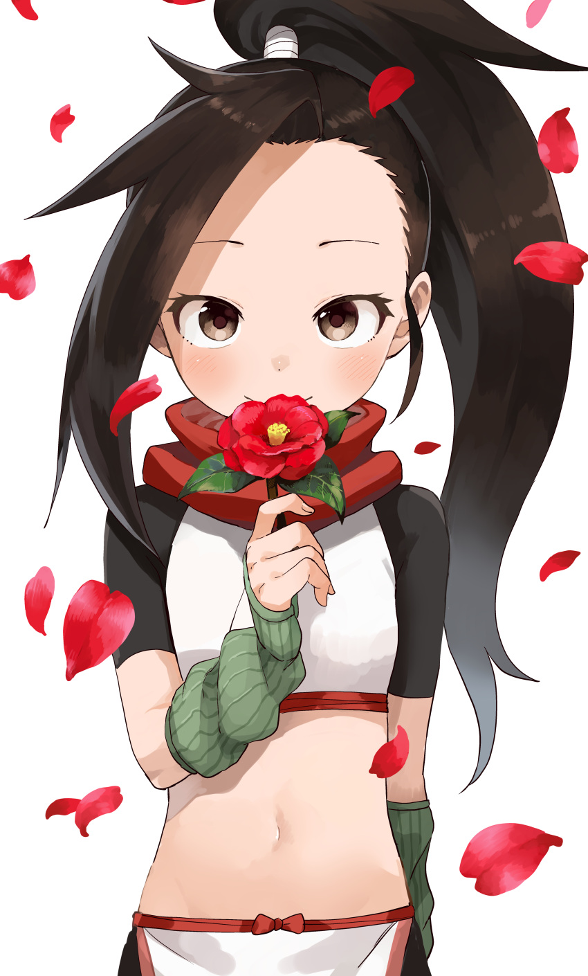 absurdres black_hair brown_eyes commentary_request crop_top female flower forehead high_ponytail highres holding holding_flower kunoichi_tsubaki_no_mune_no_uchi long_hair looking_at_viewer midriff navel official_art petals ponytail red_flower short_sleeves simple_background solo tsubaki_(kunoichi_tsubaki_no_mune_no_uchi) very_long_hair white_background yamamoto_souichirou