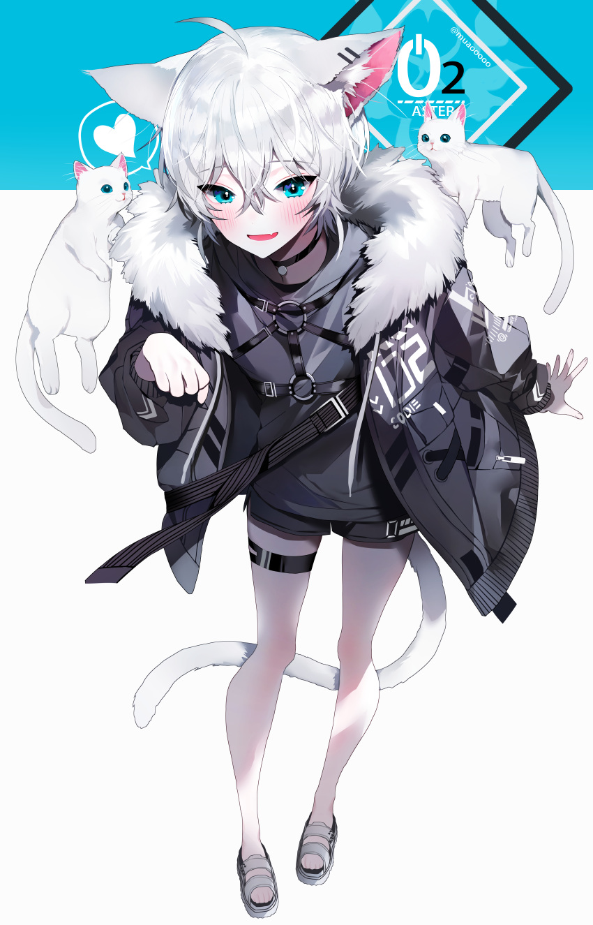 1boy absurdres ahoge animal animal_ear_fluff animal_ears black_choker black_jacket black_shorts blue_eyes blush cat_ears choker commentary feline full_body fur-trimmed_jacket fur_trim hair_between_eyes harness highres jacket male_focus muaooooo oerba_yun_fang open_mouth original paw_pose sandals short_hair shorts skin_fang solo twitter_username white_cat white_footwear white_hair