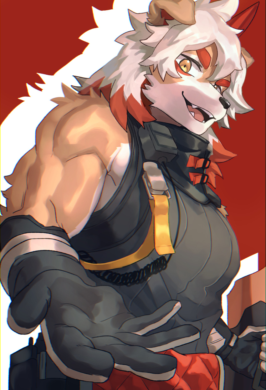 2022 absurd_res anthro arknights canid canine canis clothing domestic_dog gloves hair handwear hi_res holding_out_hand hung_(arknights) hypergryph looking_at_viewer male mammal manadezimon muscular muscular_anthro muscular_male open_mouth red_background red_hair simple_background solo studio_montagne topwear white_background white_hair