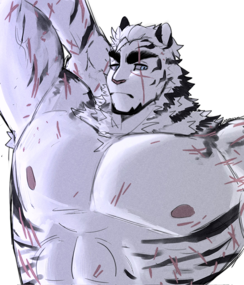 1boy abs animal_ears arknights arm_up armpits bara blue_eyes consagratum cross_scar english_commentary furry furry_male highres looking_at_viewer male_focus mountain_(arknights) multiple_scars muscular muscular_male nipples pectorals scar scar_across_eye scar_across_eyebrow scar_on_arm scar_on_cheek scar_on_chest scar_on_face scar_on_shoulder scar_on_stomach tiger_boy tiger_ears tiger_stripes topless_male upper_body white_background