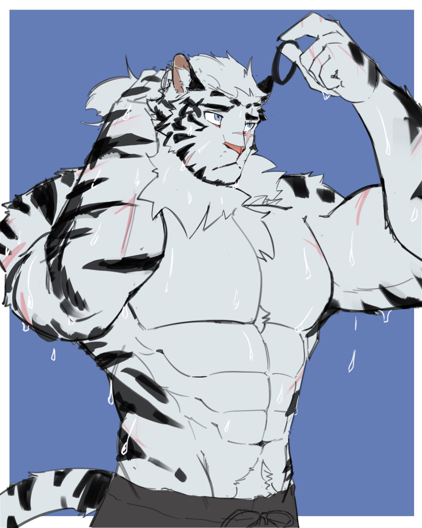 1boy abs animal_ears arknights artstakoi bara black_shorts blue_eyes commission cross_scar english_commentary furry furry_male hair_tie highres holding holding_hair_tie male_focus mountain_(arknights) multiple_scars muscular muscular_male pectorals scar scar_across_eye scar_on_arm scar_on_cheek scar_on_chin scar_on_face scar_on_nose scar_on_stomach shorts sweat tail tiger_boy tiger_ears tiger_stripes tiger_tail topless_male tying_hair very_sweaty