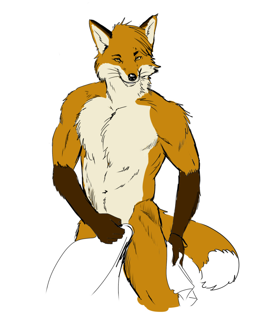 anthro arm_tuft black_nose brown_body brown_fur canid canine cheek_tuft chest_tuft dipstick_ears dipstick_tail doppelfoxx ear_markings facial_tuft fluffy fluffy_tail fox fur hair head_tuft hi_res jakkals_van_der_bergh_(doppelfoxx) looking_at_viewer male mammal markings marul multicolored_ears muscular muscular_anthro muscular_male nude orange_body orange_eyes orange_fur shoulder_tuft simple_background smile smiling_at_viewer smirk smirking_at_viewer solo tail tail_markings tasteful_nudity towel towel_only tuft whiskers white_background white_body white_fur