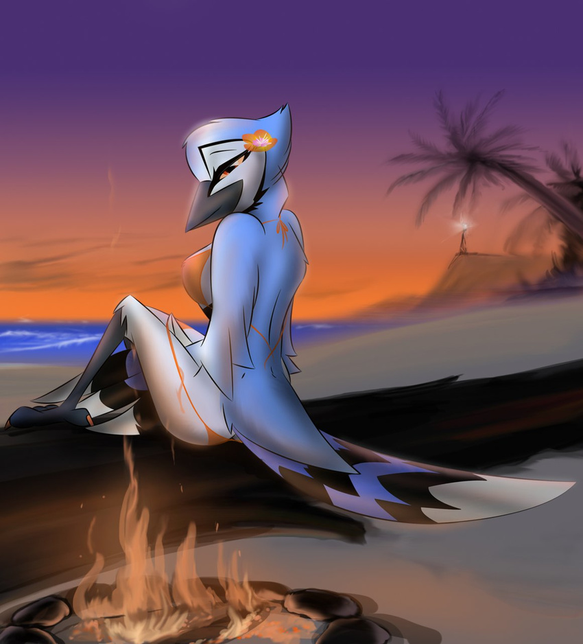 accessory anthro avian beach beak better_version_at_source bikini bird breasts clothing corrvo feathered_wings feathers feet female fire flower flower_in_hair hair hair_accessory hi_res kalli looking_at_viewer looking_back palm_tree plant seaside solo sunset swimwear talons toes tree wings