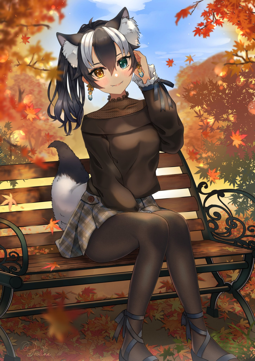 alternate_costume alternate_hairstyle ancolatte_(onikuanco) animal_ear_fluff animal_ears autumn autumn_leaves black_footwear black_pantyhose blue_eyes blush brown_skirt brown_sweater casual collar collarbone earrings extra_ears female footwear_ribbon frilled_collar frilled_sleeves frills grey_hair grey_skirt grey_wolf_(kemono_friends) hair_between_eyes hand_in_own_hair hands_on_lap heterochromia highres jewelry kemono_friends long_sleeves multicolored_clothes multicolored_hair multicolored_skirt pantyhose plaid_clothes plaid_skirt pleated_skirt ponytail short_hair sidelocks sitting skirt smile solo sweater tail white_hair wolf_ears wolf_girl wolf_tail yellow_eyes